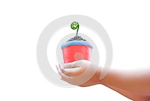 Child hands holding pot with sprout