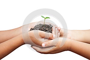 Child hands holding soil with sprout