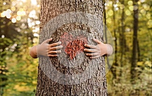 Child hands hugging tree