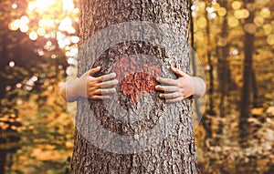 Child hands hugging tree photo