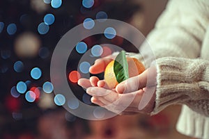 Child hands in knitted sweater holding fresh mandarins with green leaves with bokeh on background