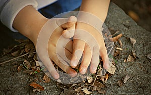 Child hands and leaves