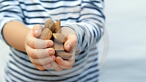 Child hands with some brown almonds against a white background.