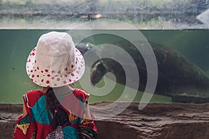 A child with hat and dress watching the River terrapin or Labi - labi in Malay, Swimming in an aquarium. View from behind