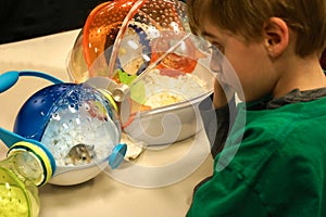 Child and his pet Gerbil in Cage