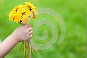 A child holding a bouquet of dandelions