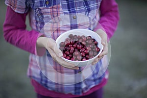 Child holding bowl of cranberries