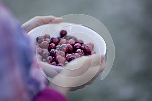 Child holding bowl of cranberries