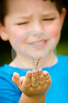 Child holding butterfly photo