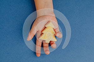 child holding a Christmas tree cookie in hand, blue paper background