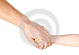 Child holding father`s hand isolated