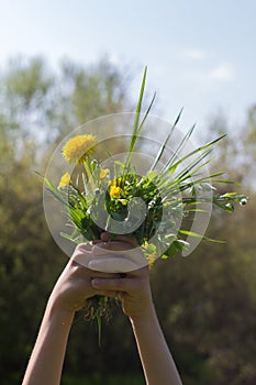 Child holding flowers with strength and pride for nature power