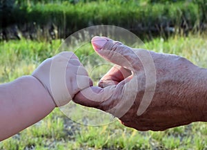 child holding grandparents hand