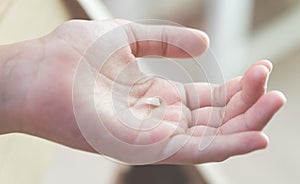 Child holding his fallen milk tooth on his hand.