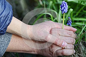 Child holding his motherÂ´s hands