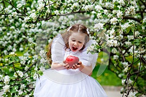 The child is holding a large red apple and wants to take a bite. A little happy girl in a dress plays under a blooming apple tree