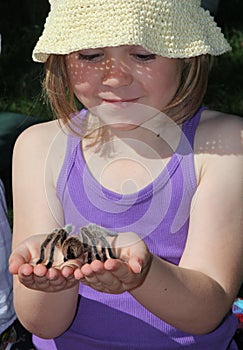 Child holding Tarantula