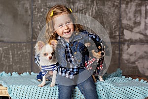 Child is holding two small chuhuahua dogs