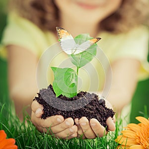 Child holding young plant in hands