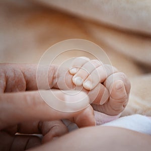 The child holds an adult finger.