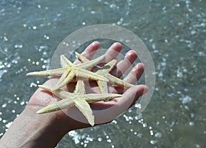 child holds in his hand the three large starfish