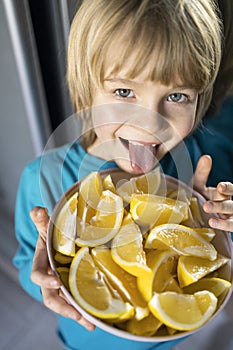 child holds plate with sliced pieces of ripe lemon in hands, cheerfully hanging his tongue tastes it