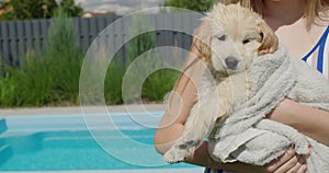 The child holds a wet puppy in his hands, the dog is wrapped in a towel. Puppy after bath