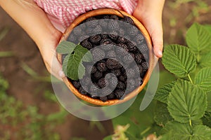 The child holds a wooden bowl with black raspberries in his hands . Top view