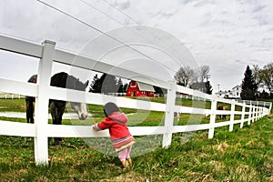 Child and horse staring