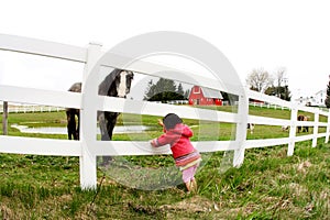 Child and horse staring3