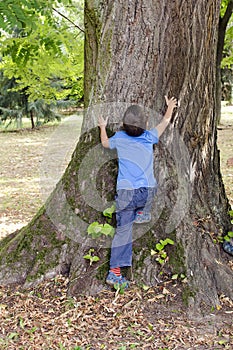 Child hugging and climbing tree