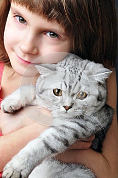 Child hugging silver white cat kitten