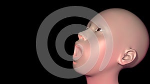 Person swallowing pills . 3d render illustration view 2 photo