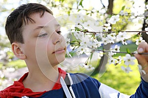 Child inhales smell of apple blossoms