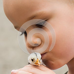 Child kissing little chick bird