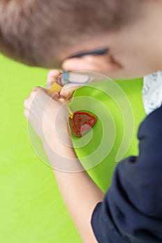 Child in the kitchen. Decorating cookies with colorful icing. The child`s hands squeeze the frosting in yellow.