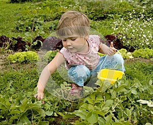 La cucina giardino 