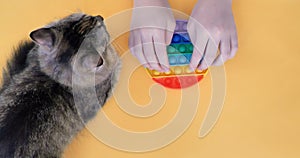 A child and a kitten are playing trendy popular board game anti-stress toy pop it. Multi-colored popular silicone anti