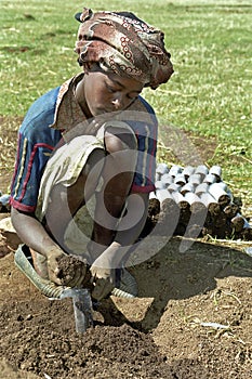 Child labor and reforestation, Ethiopia