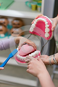 child learn to brush toy teeth. Not Real implants, jaw for the development of hygiene.