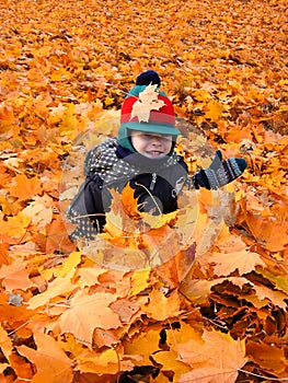 Child in the leaves