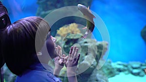 Child, little boy watching, looking fishes in under water aquarium in oceanarium. Pet shop. Boy looks at fish swimming