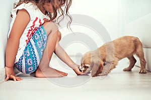 Child with little dogs playing at home. Girl play with puppie