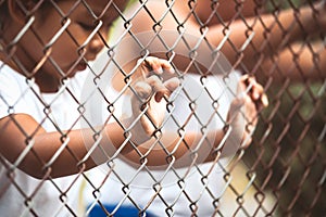 Child little girl hand holding steel mesh with her friendp