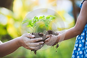 Child little girl and parent holding young plant in hands