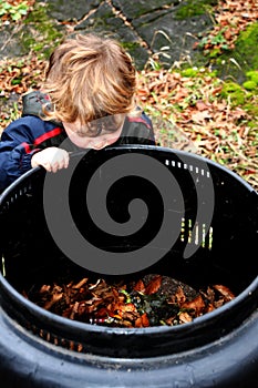 Child looking in compost bin