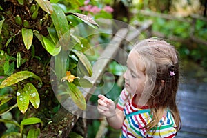 Child looking at flower in jungle.