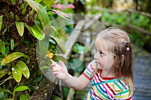 Child looking at flower in jungle.