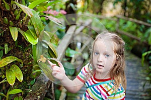 Child looking at flower in jungle