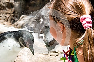 Child Looking at Humboldt Penquin